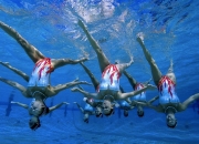 游戏试玩模拟器-福克斯惊艳四座，北京队打穿猛龙—一场颠覆预期的篮球盛宴