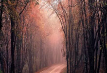 开云棋牌试玩-英超争冠之夜，范弗利特防守端锁死对手，铸就冠军基石