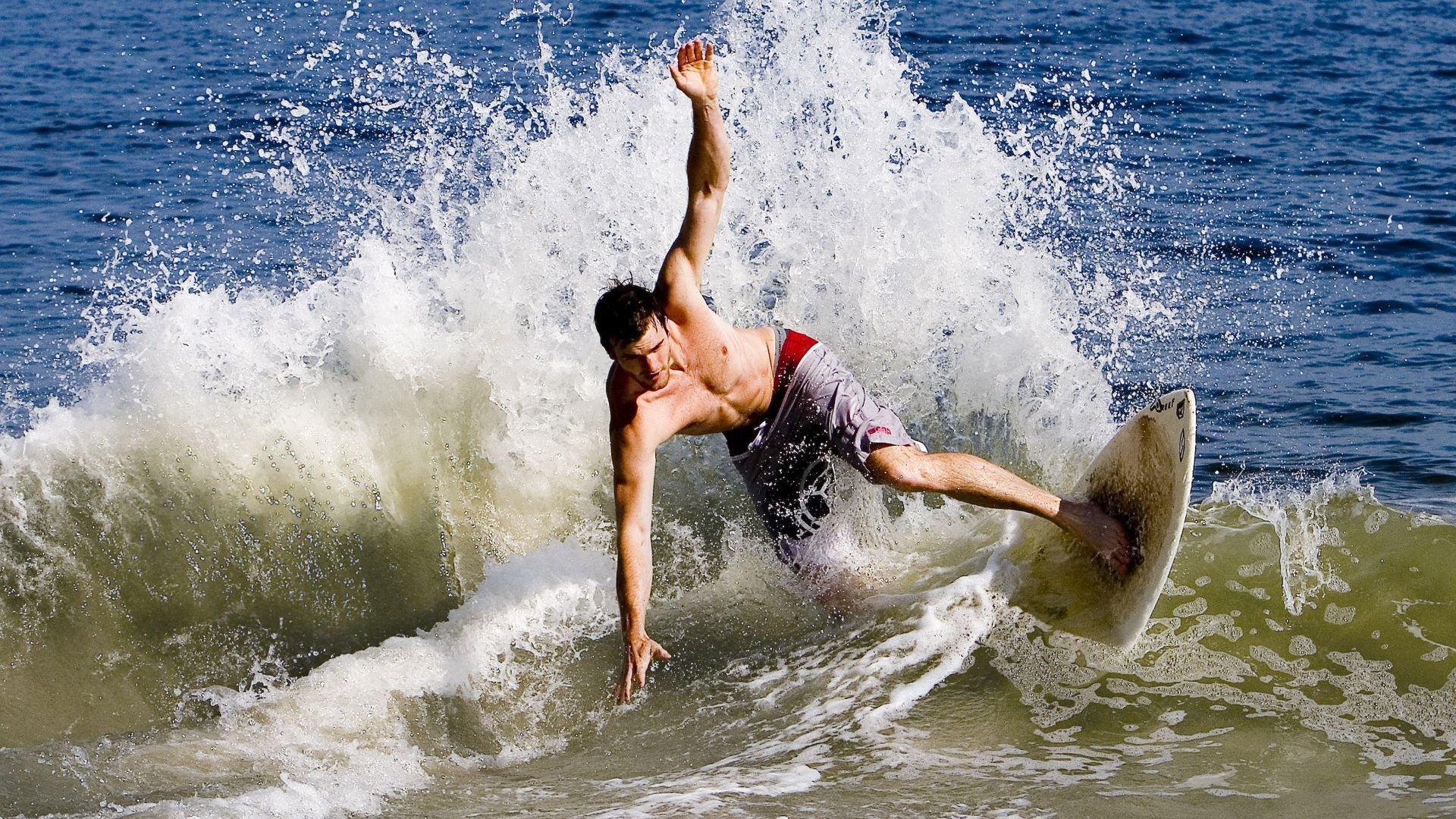 橙色郁金香凋零于阿尔卑斯山麓,维尼修斯导演的瑞士钟表终结荷兰神话